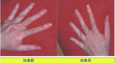 张先生.jpg